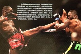 劲道成人搏击教学视频大全,全方位揭秘成人搏击技巧与实战策略