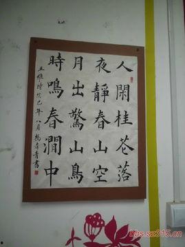 学写字教程成人毛笔视频,跟随视频教程轻松学写