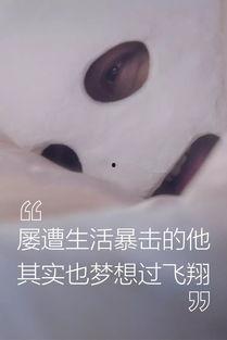 太空人成人扎针视频