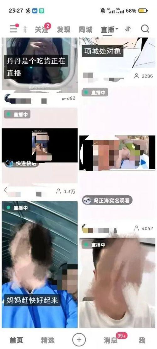 成人版视频免费版