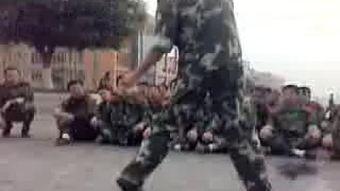 成人擒敌拳视频教学大全,实战技巧与动作解析