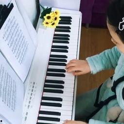 唢呐成人怎么学视频讲解,视频讲解助你轻松掌握成人唢呐演奏技巧