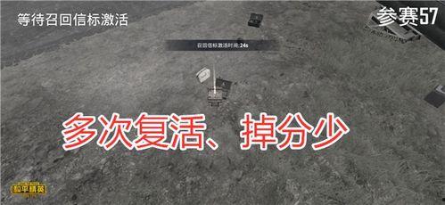 鸡变成人形追人视频,一场跨越物种的惊悚对决