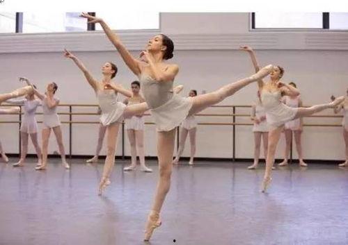 成人绸缎舞蹈教学视频,成人绸缎舞蹈教学视频精华解析